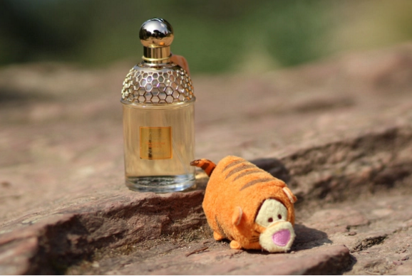 blog-beaute-nantes-aqua-allegoria-origines-parfums