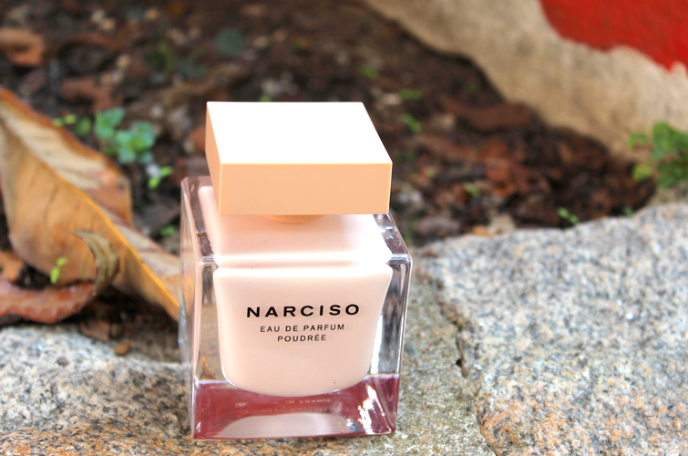 narciso rodrigues poudré origines parfums